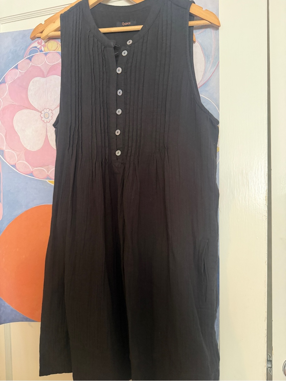 Quince Black Sleeveless Pintuck Mini Dress